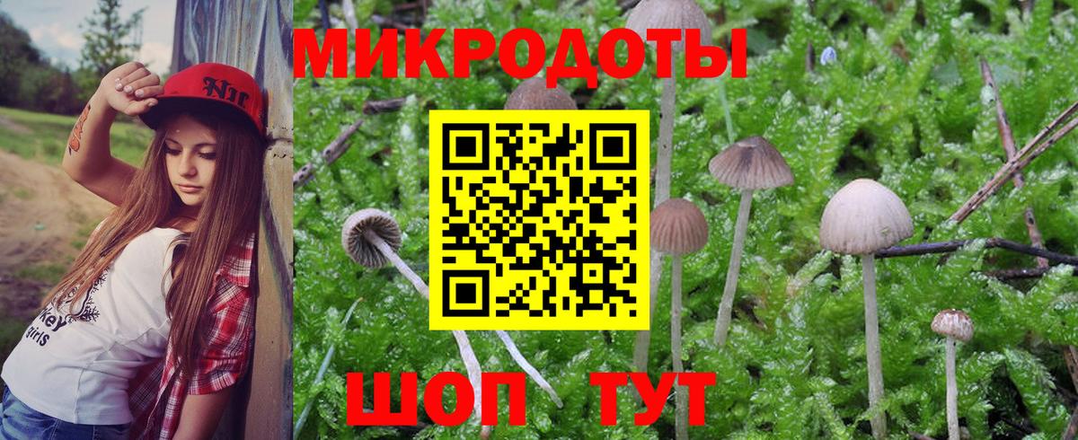 Каменск-Уральский  Галлюциногенные грибы Psilocybine cubensis  Вход с VPN  Псилоцибиновые грибы ЛСД 