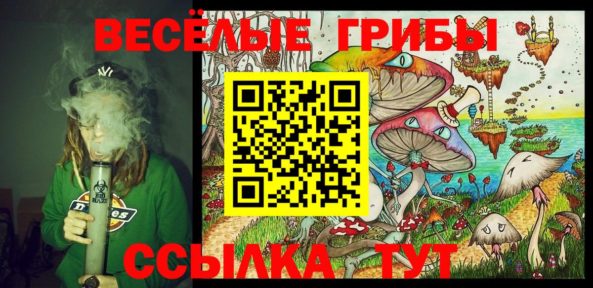 Галлюциногенные грибы Psilocybe Каменск-Уральский